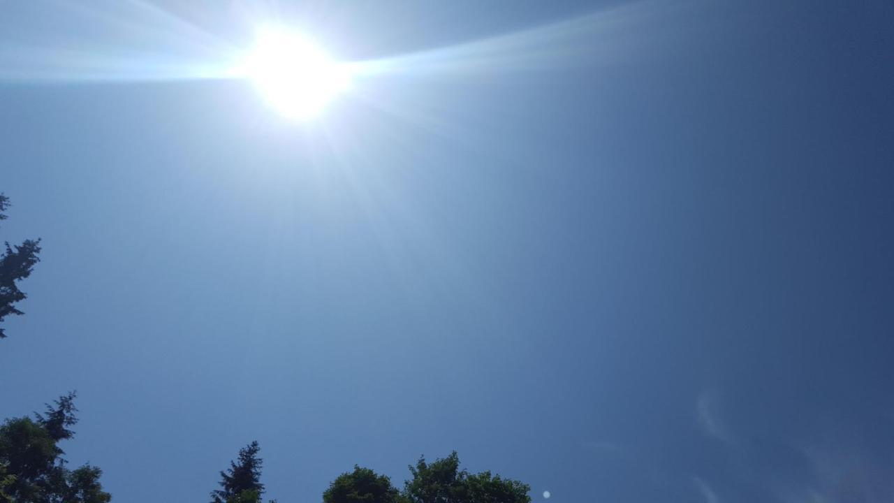 Lederer Haeus'L, Ferienwohnungen Ellmau Exteriér fotografie